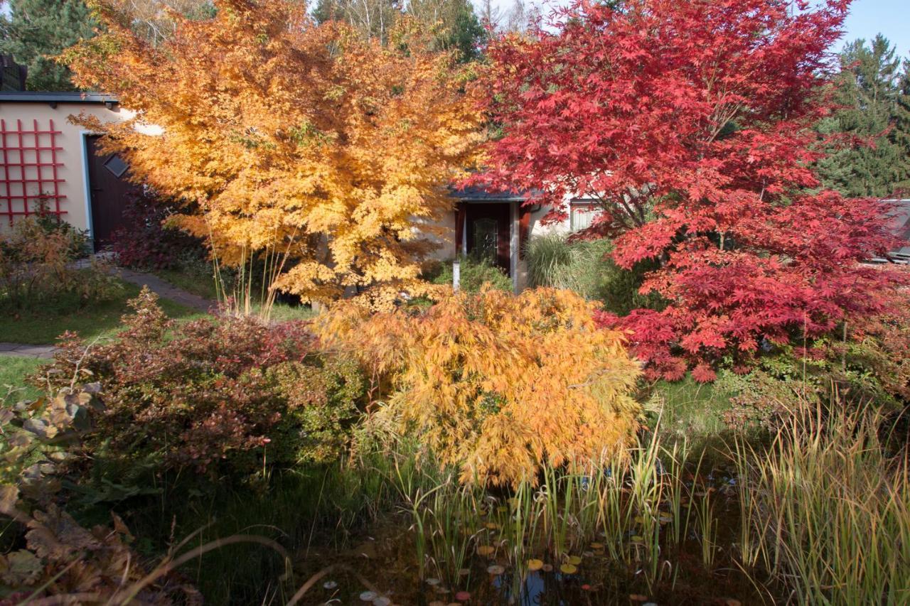 Ferienhaus "Am Waldsaum" Apartment คัวร์ออร์ท กอห์ริช ภายนอก รูปภาพ