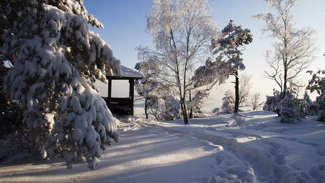 Ferienhaus "Am Waldsaum" Apartment คัวร์ออร์ท กอห์ริช ภายนอก รูปภาพ